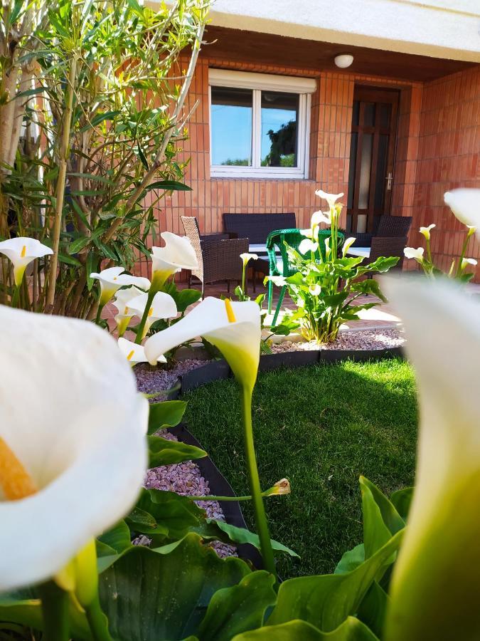 Riba D'Aude Hotel Carcassone Kültér fotó